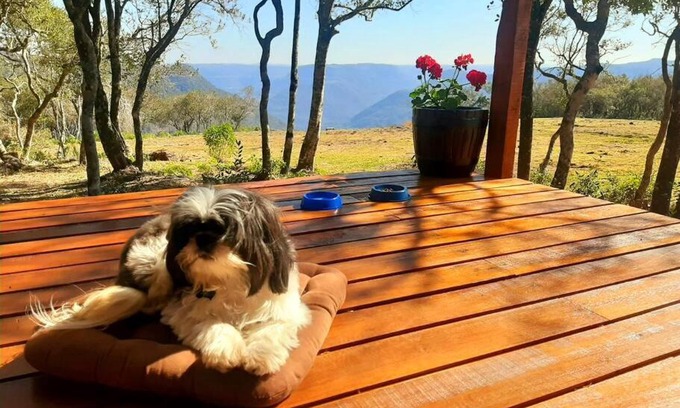 Nova Petropolis House | Cabana no alto do morro