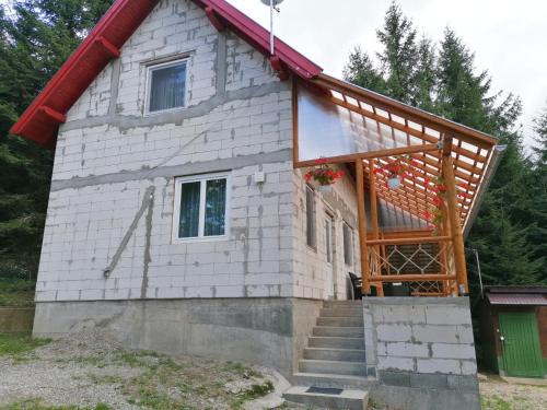 Sincraieni Apartment | Cabana veverita
