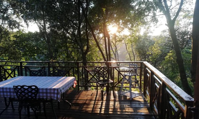 Hilton Bed & Breakfast | Cabbage Tree Cottage