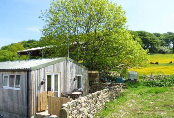 Ingrow Cottage | Cabin ∙ 1 bedroom ∙ 2 guests