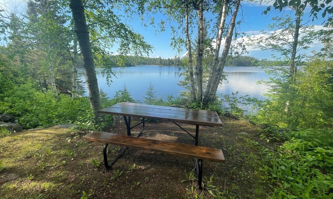 Ely Cabin | Cabin 3 'Kingfisher' 1 BR, 2 pp, overlooks lake, access to boats!