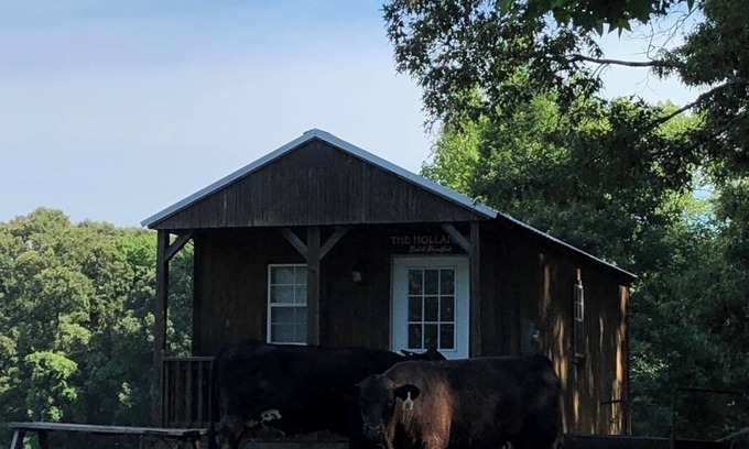 Minden Cabin | Cabin on a Pond