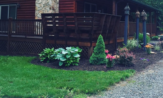 Sparta Cabin | Cabin - Sparta, NC at Bear Creek - "Alegria"