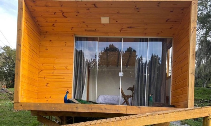 Canela Cabin | Cabin surrounded by nature and waterfalls a few km from Canela