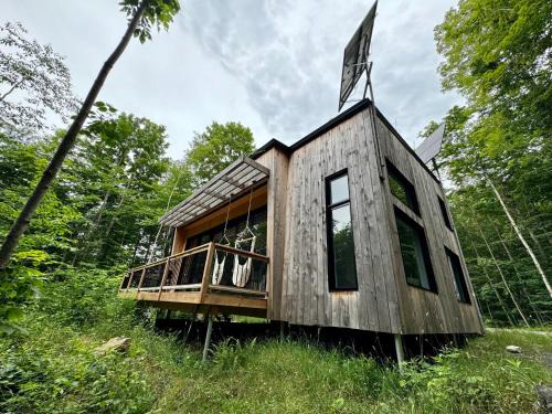 Eastman House | Cabin Zoobox 47