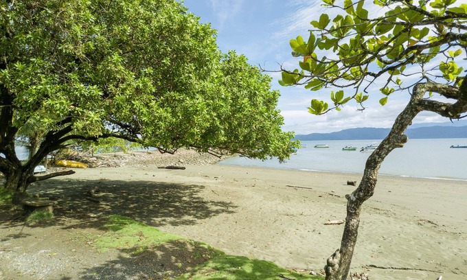 Puerto Jimenez Bed & Breakfast | Cabinas Agua Luna Frente al Mar
