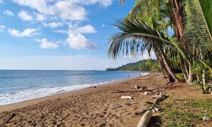 Drake Bay Cabin | Cabinas Pura Vida Bed & Breakfast
