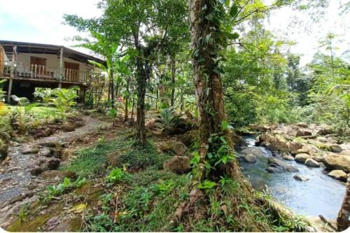 Katira Apartment | Cabins river blue