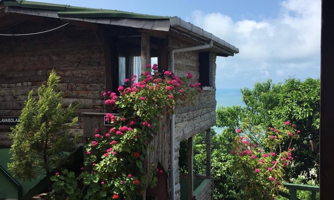 Cayeli Apartment | Caca Bungalow & Apart