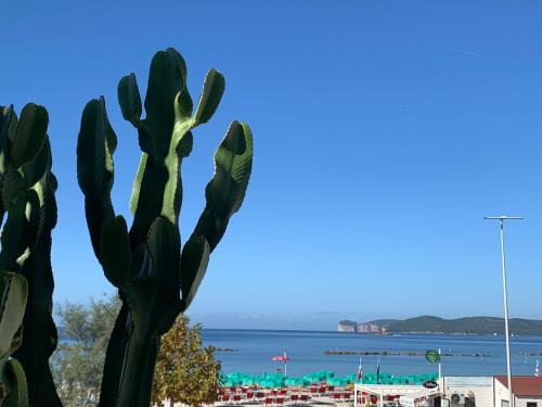 Lido Apartment | Cactus on the beach