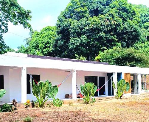 Calabazo House | CALABAZO Casa MonoCai