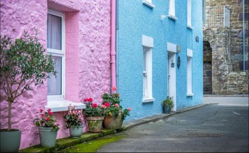 Solva House | Calebs Cottage- Solva harbour