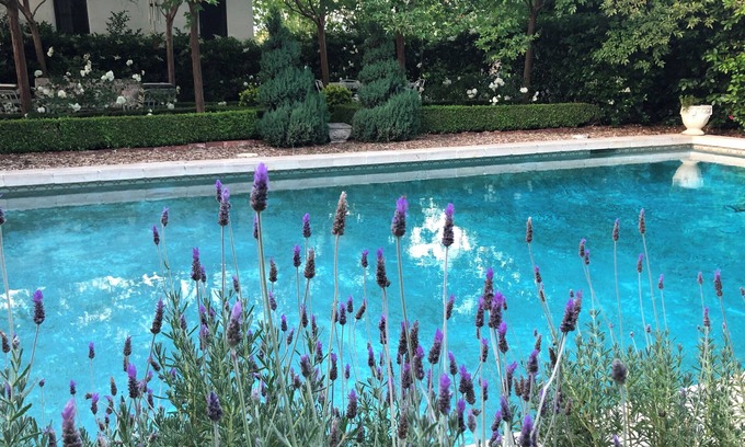 Bonita House | California Sol Historic Private Home w/Pool