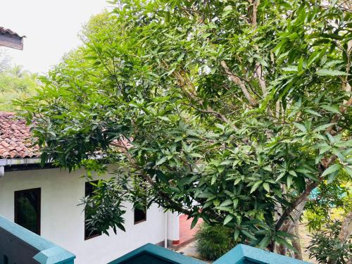 Habaraduwa Villa | Calm Villa