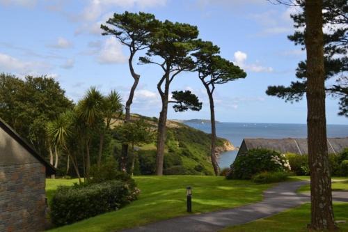Maenporth House | Camellia
