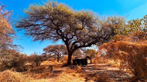 North-West District Other | Camp Naledi
