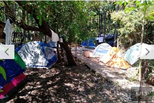 Muquem Other | Campin novas palmeiras 953