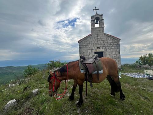 Karuc Other | camping and horseback riding Parci