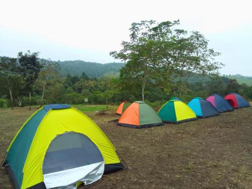 Manglaralto Other | Camping El Cedro
