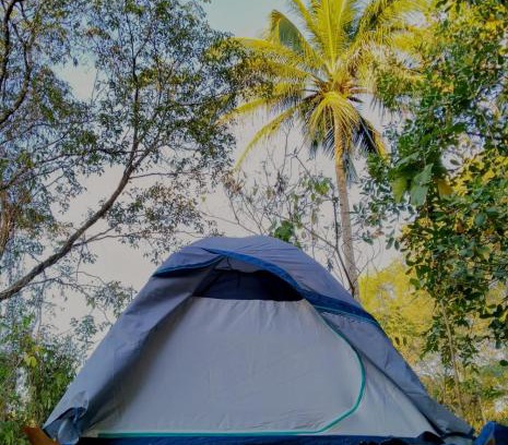 Huautlco Other | Camping Jardín Botánico Herbolario HUMAR