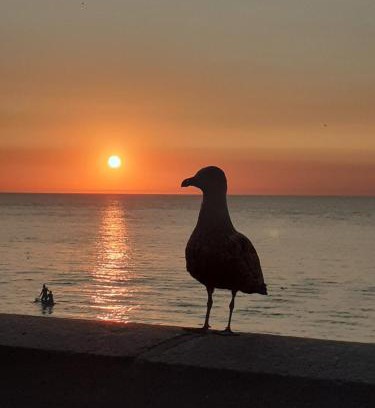 Toussaint Other | Camping les falaises de Toussaint