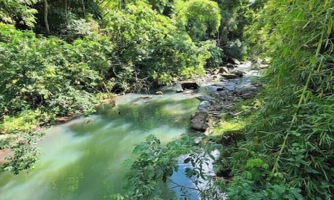Sabana House | Camping Tent for 2 people: Hacienda Monte Reynn