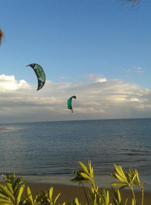 Ayamonte Apartment | CANELA GREEN