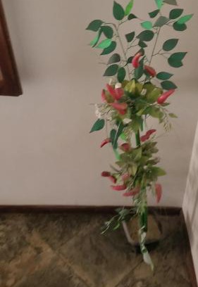 Sao Pedro da Aldeia House | Cantinho do Aconchego