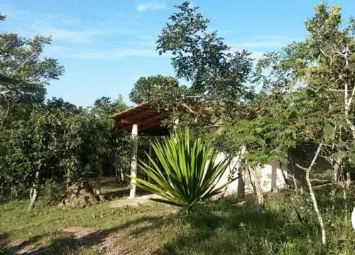 Pirenopolis Cabin | Canto Guardian - Suavidade e paz no cerrado