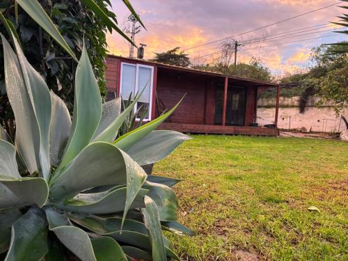 Caparica Apartment | Caparica wood house