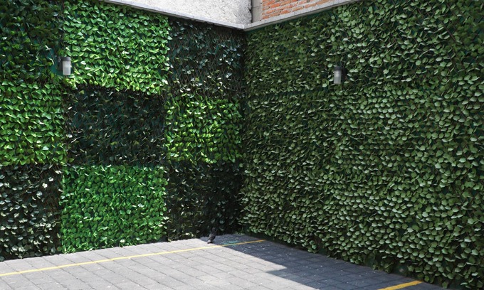 Colonia Roma Hotel | Capital St.