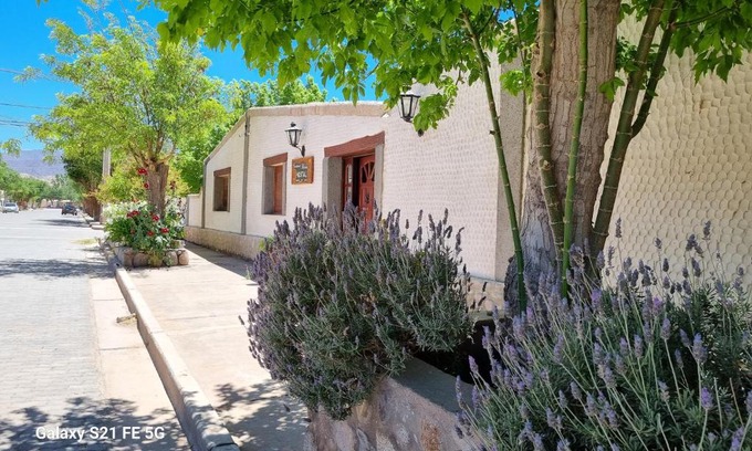 Molinos Bed & Breakfast | Cardones de Molinos