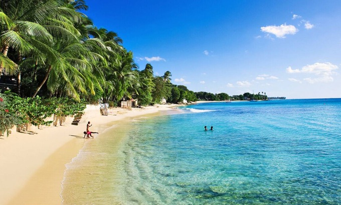 Maynards House | Caribbean Experience! Spacious Units w/ Kitchen! Short Drive to Gibbes Beach!