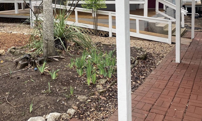 Kerrville Cottage | Carol's Casa in the quaint Methodist Encampment neighborhood