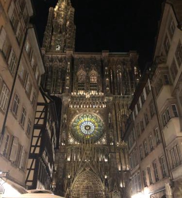City-Centre - Petite France Apartment | Carré or au pied de la Cathédrale