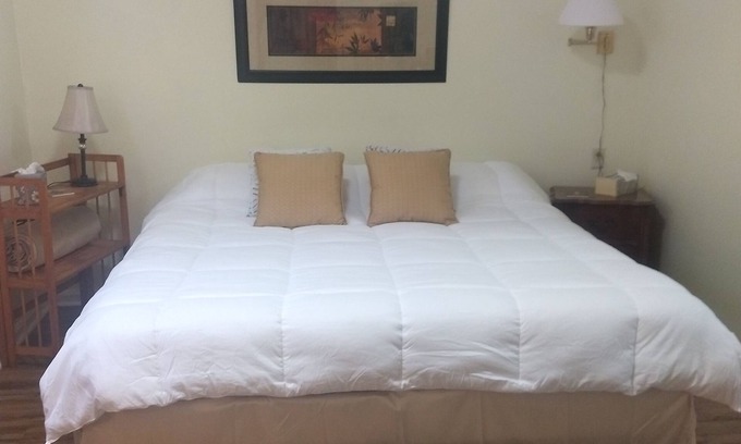 Kenner - Louis Armstrong International Airport House | Carriage House/apartment Near New Orleans
