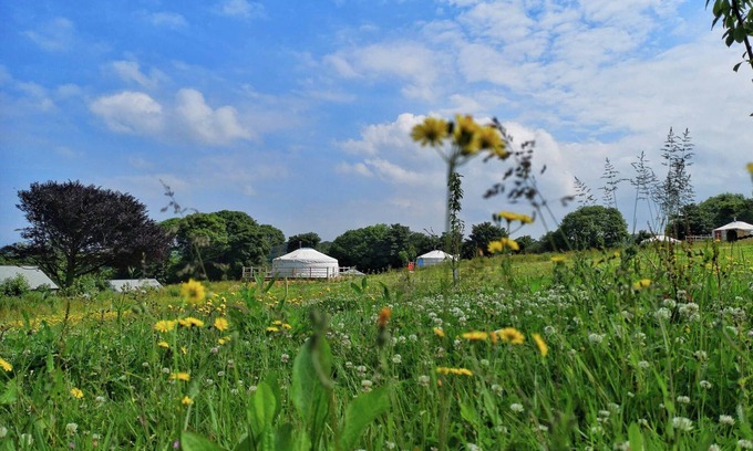 Newquay Cabin | Carved Yurt - A luxury Mongolian-inspired Yurt in stunning 62 acre eco-friendly estate