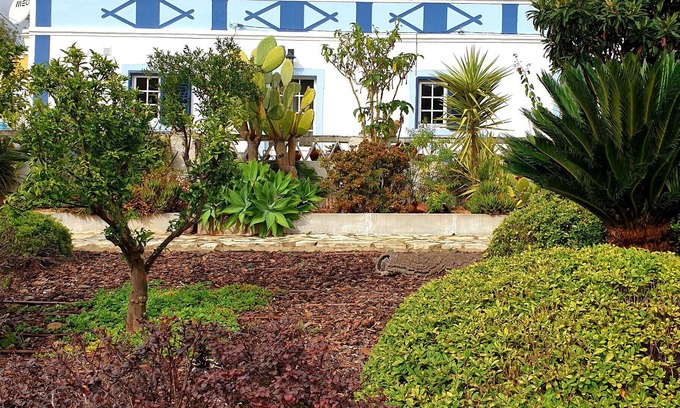 Fonte do Bispo Villa | Casa Catarina by Portucasa