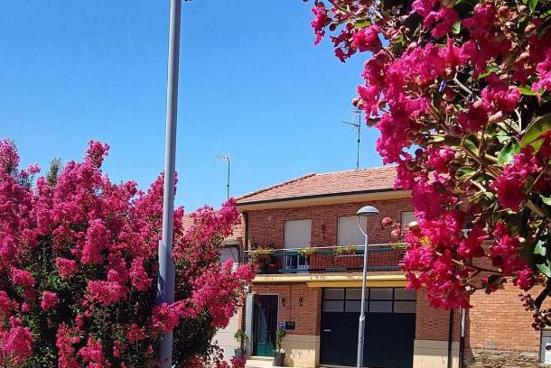 Palacios de la Valduerna House | CASA ABUELA