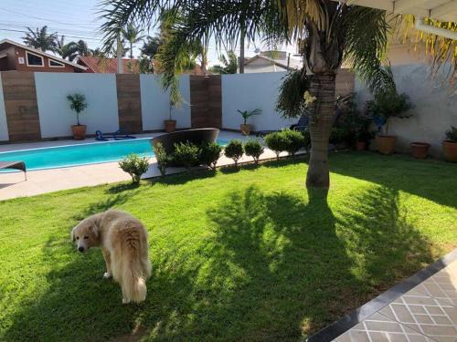 Porto da Vila House | Casa aconchegante com piscina na praia