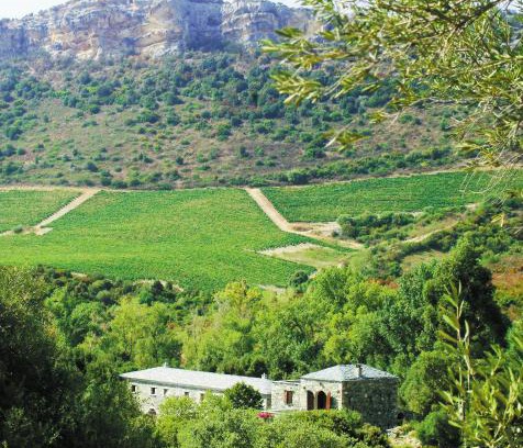 Patrimonio House | Casa-Albina-Corsica