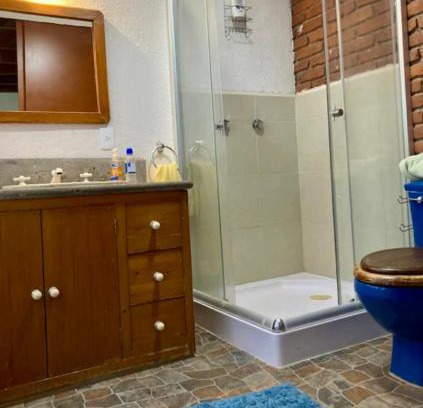 Alvaro Obregon House | Casa Azul las hamacas