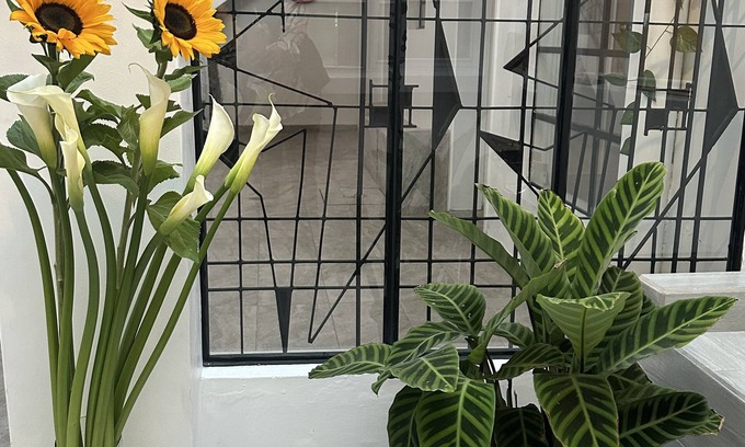 Miraflores Bed & Breakfast | CASA BALTHAZAR HOSTEL