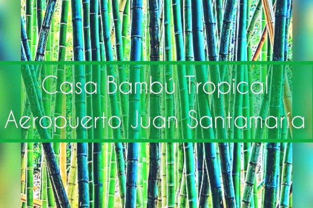 Villa Bonita Apartment | Casa Bambú Tropical