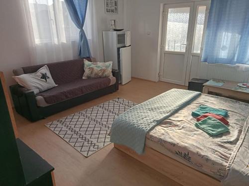 Ocna Mures Apartment | Casa Bea
