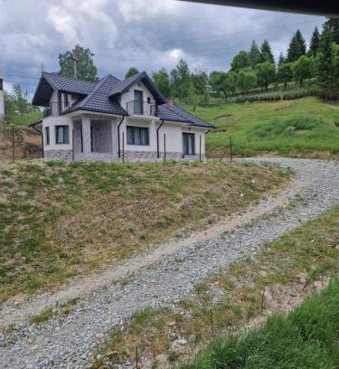 Borsa Villa | Casa Bogdan