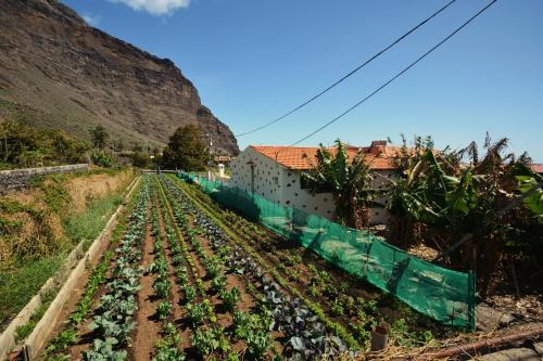 Valle Gran Rey House | Casa Celia