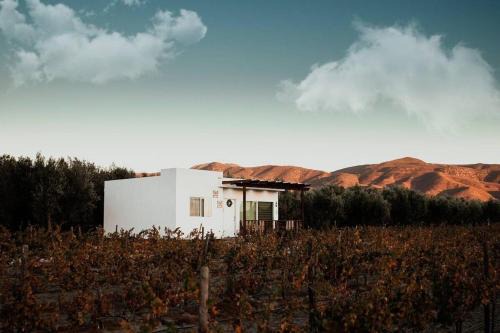 Valle de Guadalupe Villa | Casa Colibri Guadalupe Valley