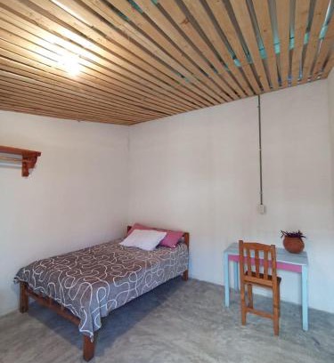 Santa Lucia House | Casa de los gatos