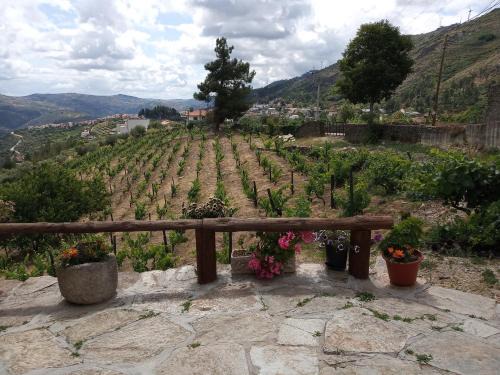 Tabuaco House | Casa da Vinha em Tabuaço - Douro